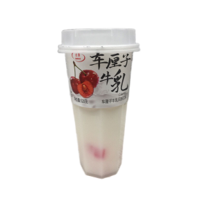 GW BEBIDA ADOCADA SABOR LEITE DE CEREJA 520G