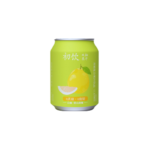 CHU YIN SUCO SABOR TORANJA C/ PEDACOS 238ML